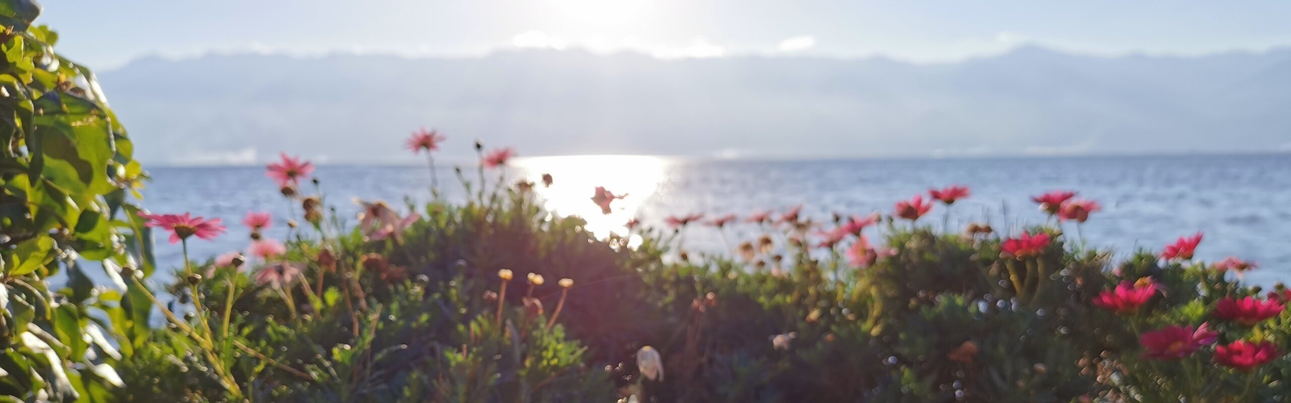 Dali Weather: Climate and Best Times to Go