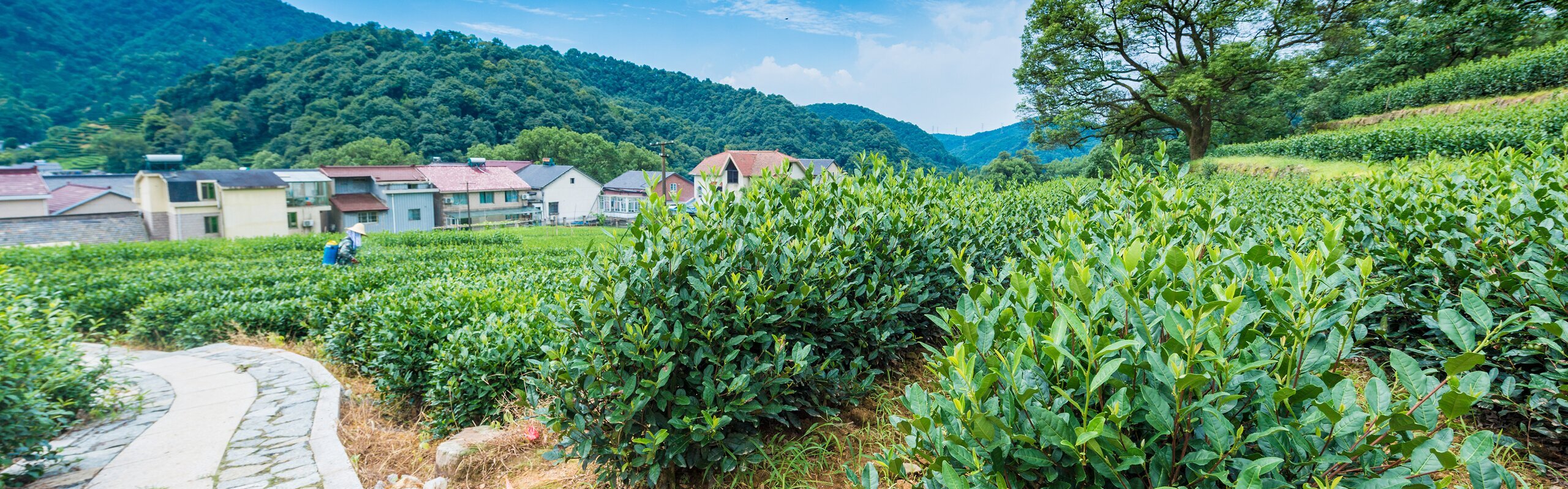 Meijiawu Tea Culture Village