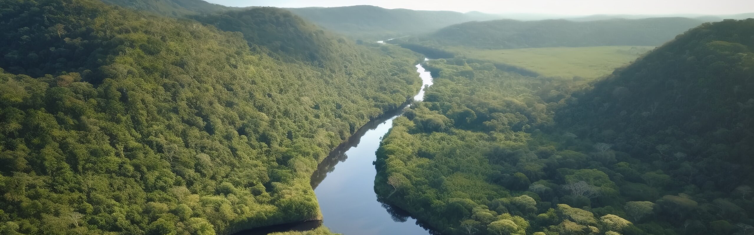 How to Plan a Trip to Xishuangbanna: Itinerary Ideas and Planning Tips